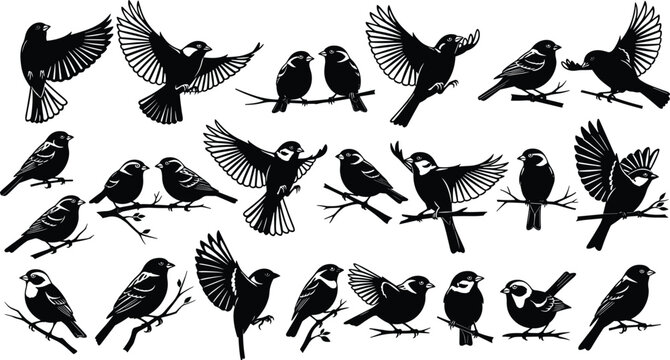 Flying birds silhouette collection sparrow songbird perched and flying bird set wildlife nature animal black vector illustration pack