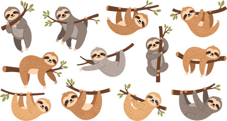 Fototapeta premium Cute hand drawn vector illustration set of lazy sloths hanging on tree branches in various funny poses for nursery and tropical nature designs.