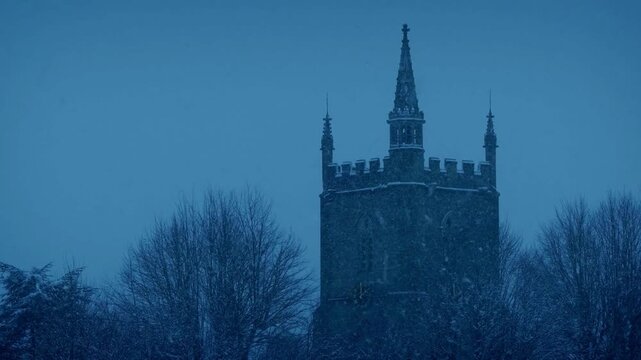 An intricate Gothic cathedral with spires and ornamentation,  Gothic style stone church tower rising above frost covered trees during the blue hour.