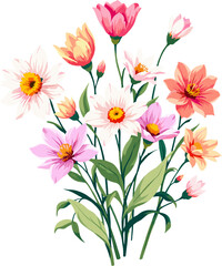 Obraz premium Pink cosmos flower bouquet, elegant botanical illustration isolated on white background for floral invitations, greeting cards and spring seasonal designs 