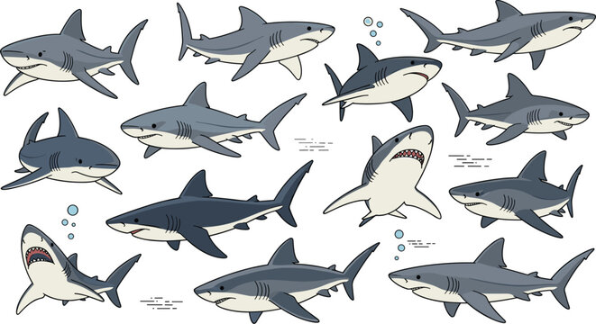 Comprehensive hand drawn vector illustration set of predatory sharks in various swimming and attacking poses with bubbles for marine wildlife ocean nature designs.