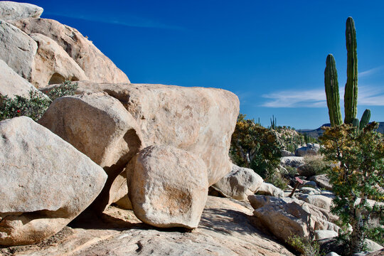 Desert Scene with Rocky Landscape Catavina Baja California Sur Mexico