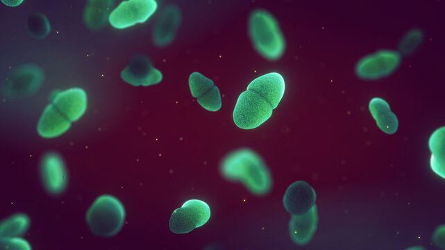 Enterococcus bacteria can cause bacteremia, endocarditis, sepsis, and complicated urinary tract infections, especially within nosocomial environments and in the context of antibiotic resistance