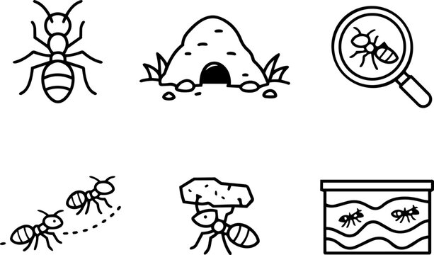 Ant colony behavior teamwork nature line icons
