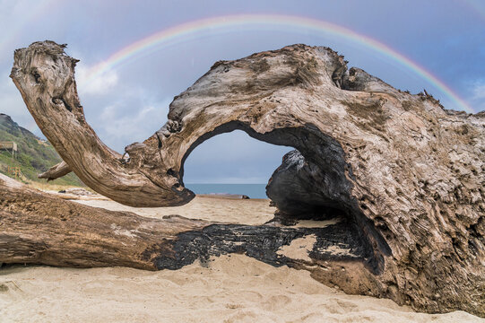 Ocean Beach framed by an old driftwood log and a beautiful rainbow sky.