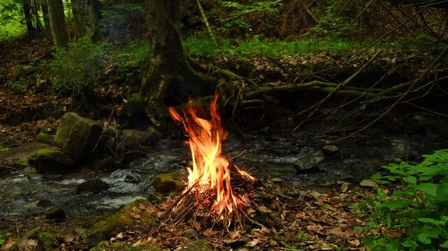 Cozy campfire and forest stream at twilight surrounded by wilderness and nature. Blazing campfire nestled near tranquil evening woods scenery and small river