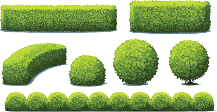 Green garden hedge bushes collection landscaping shrubs and decorative plants vector illustration set