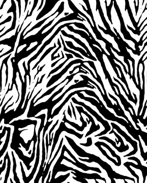 zebra animal skin seamless pattern design, abstract stripped texture textile 