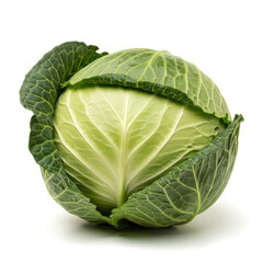 Fototapeta premium A vibrant and fresh green cabbage with crisp leaves and a healthy appearance.