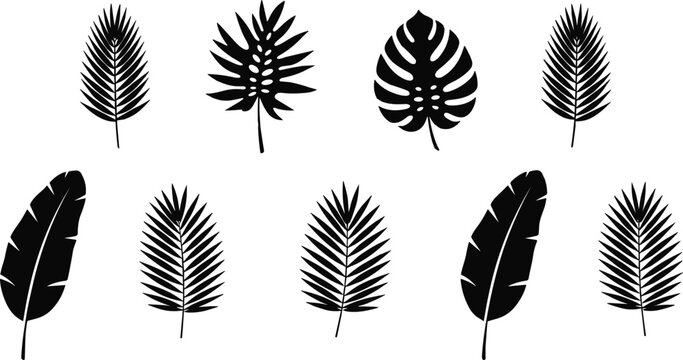 Tropical leaves silhouettes set with palm and monstera foliage, botanical vector collection, black plant icons isolated, minimal nature design elements