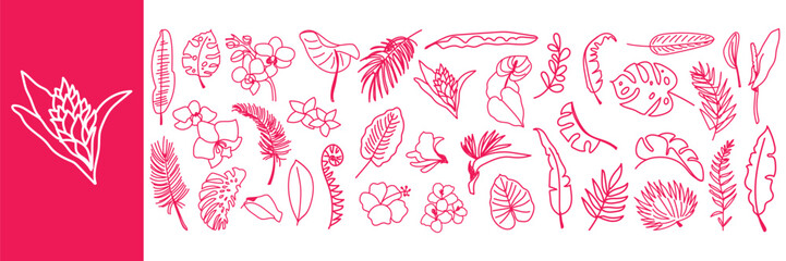 Tropical Leaves and Flowers Vector Set. Hand Drawn Palm, Monstera, Orchid, Hibiscus and Jungle Foliage Line Art Collection. Exotic Botanical Sketches. © DUCK GRAPHICS