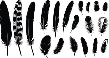 Decorative feather silhouette collection with hand drawn bird wing elements tribal ethnic style set isolated on white background vector illustration © Niheranjan
