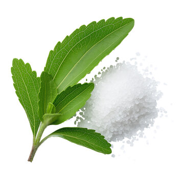 Fresh Stevia Leaves and Granulated Sweetener