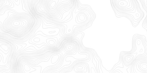 Topographic seamless map pattern with contour lines. Abstract geographic elevation design, lines sea map modern white background. © coal digger