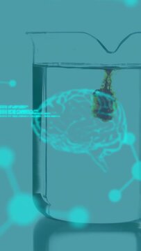 Vertical video: Droplet falling, plume filling hologram brain in beaker, code shifting to show flow