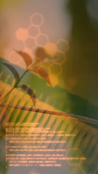 Vertical video: Lens moving focus, plant showing fern as hex bokeh drifting, code pulsing for tech