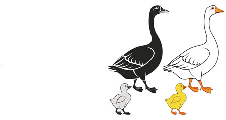 Fototapeta premium Illustration of adult geese and goslings, black and white geese with yellow and grey chicks, farm bird family