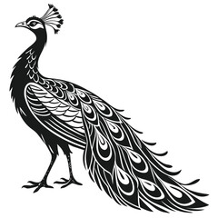 Fototapeta premium Elegant black and white peacock illustration, stylized bird silhouette with detailed plumage and feathers, decorative graphic design