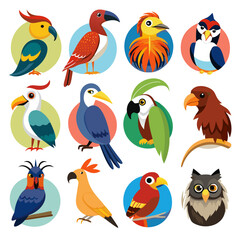 Fototapeta premium Twelve colorful and diverse bird illustrations on white backdrop