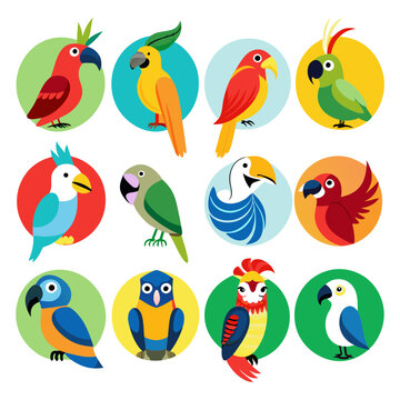 Colorful Array of Tropical Parrots on White Background