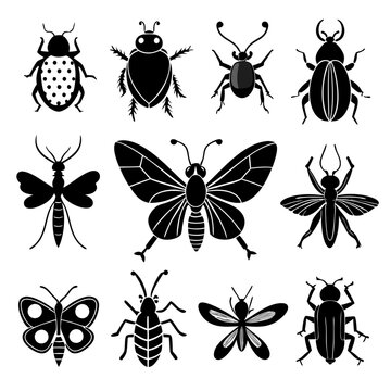 Diverse insect collection in black and white stencil style
