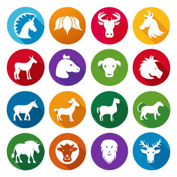 Collection of colorful animal icon set flat design style