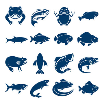 Collection of sixteen aquatic animals on white backdrop illustration