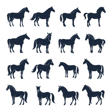 Silhouetted horse variations depicting different breeds in flat style