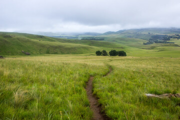Obraz premium A single footpath cutting through the green montane grasslands of the Drakensberg mountains in summer, with the rolling landscape extending into the distance in the background.