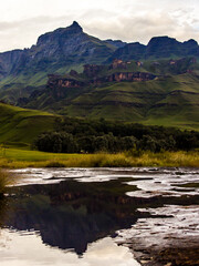 Fototapeta premium Early morning view of Rhimo Peak, one of the Iconic mountain peaks of the Drakensberg mountains, reflecting in a pool of water.