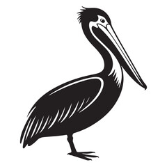 Fototapeta premium A striking black pelican stands in profile showcasing elegant features a beautiful silhouette