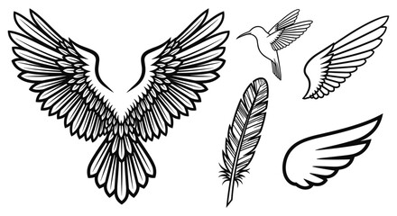 Fototapeta premium Bird Wings and Feather Graphics