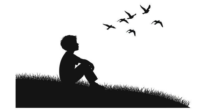 A silhouette of a boy sitting in grass gazing up at flying birds