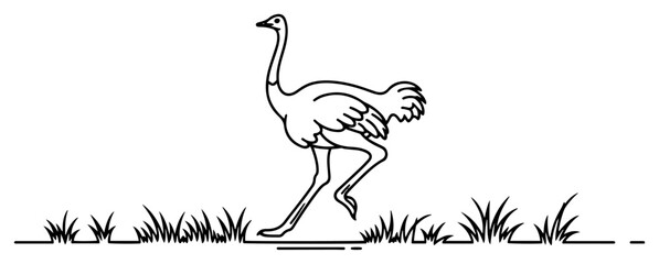 Ostrich running in the savanna silhouette, african bird on grass field outline, wild animal minimal graphic for safari and nature design © Luka