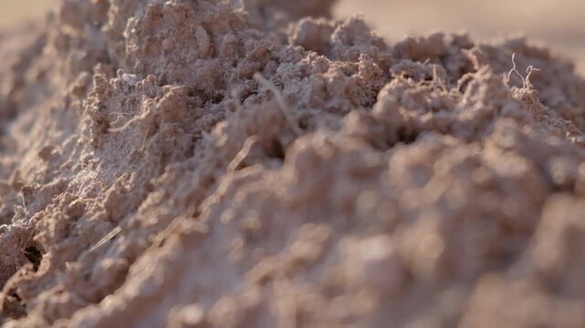 Close up of fertile brown soil clods in garden sunlight