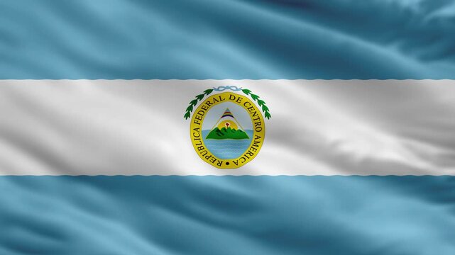 Flag of Chaco Province Argentina Waving, Provincial Symbol with Central Emblem and Seal