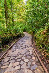 Obraz premium A view of the path leading to the Crayfish Waterfall on Basse Terre, Guadeloupe on a bright sunny day