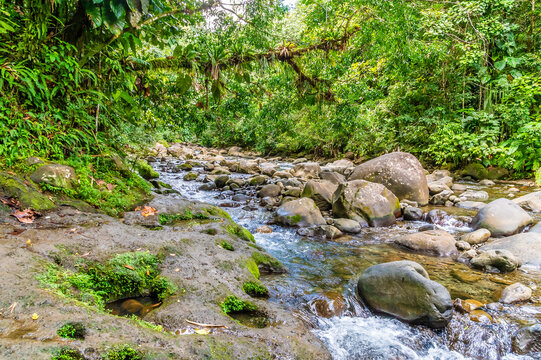 A view up the Corossol River fed by the Crayfish Waterfall on Basse Terre, Guadeloupe on a bright morning