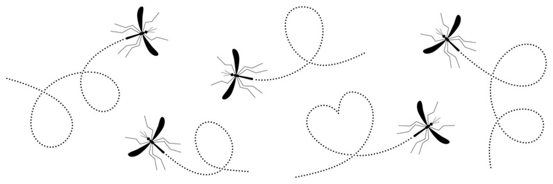 Mosquitoes insects flying on dotted route collection. Vector illustration isolated on white.