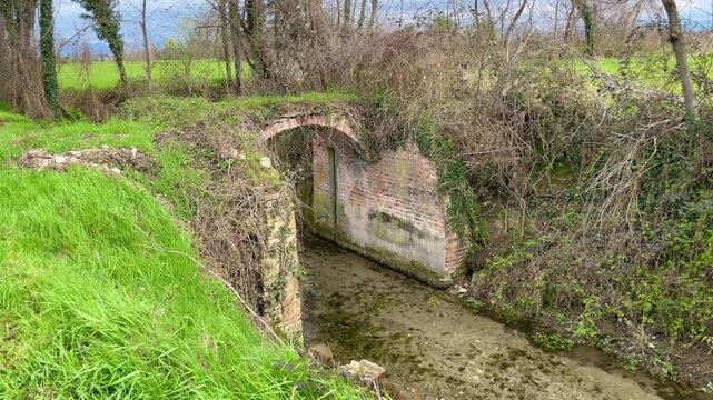 Ancient Arched Bridge Amidst Nature