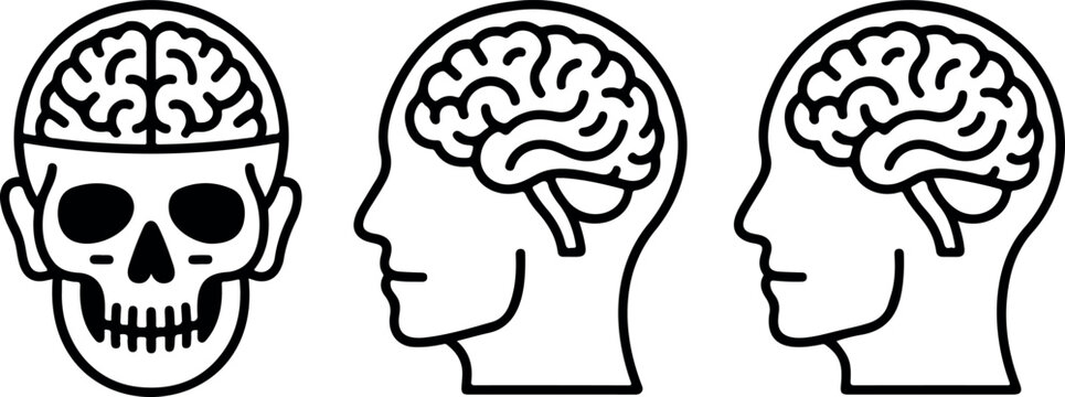 Minimalist outline of human skull and brain, multiple angles, simple black and white line art