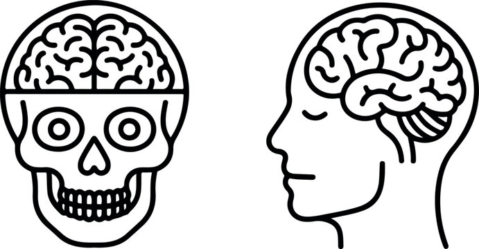 Simple line art of human skull with brain and side profile of head with brain