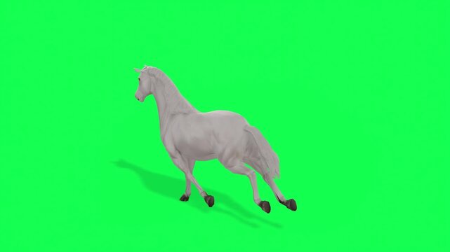 4k white Horse Run cycle loop top back view animation Green Screen Animal, 3D Realistic Arabian horse Galloping Freely on a Vibrant rendering on the chroma key, cartoon element to your video content