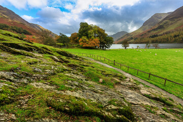 Naklejka premium Beautiful autumn landscape of England. United Kingdom