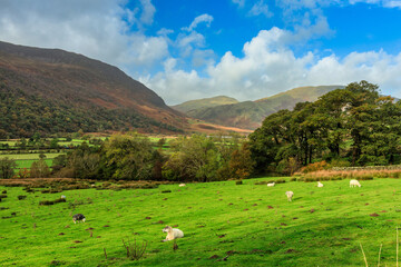 Naklejka premium Beautiful autumn landscape of England. United Kingdom