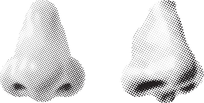 Stylized halftone pattern noses isolated on a transparent background representing human anatomy