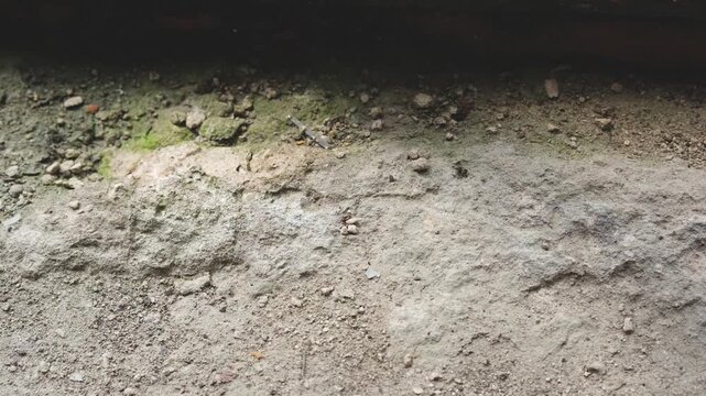 Close up of rough concrete surface with small rocks and moss on damp ground