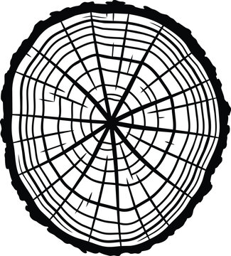 Detailed crosssection of a tree trunk showing growth rings and texture.