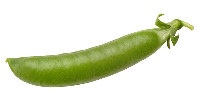 Fresh vibrant green pea pod, a healthy raw vegetable, perfectly isolated PNG on transparent background for culinary designs