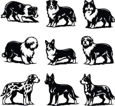 herding dog breed vector set for t-shirt design